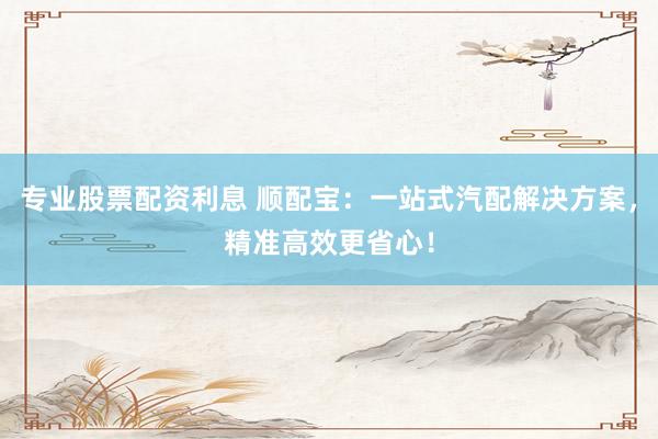 专业股票配资利息 顺配宝：一站式汽配解决方案，精准高效更省心！