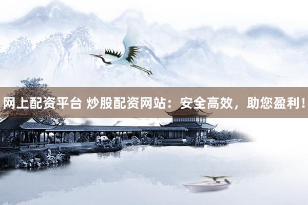 网上配资平台 炒股配资网站：安全高效，助您盈利！