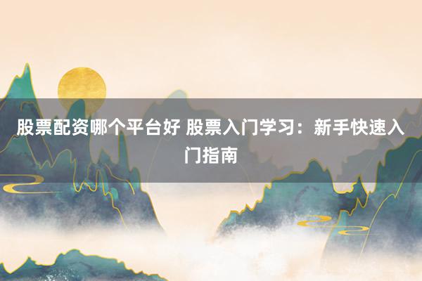 股票配资哪个平台好 股票入门学习：新手快速入门指南