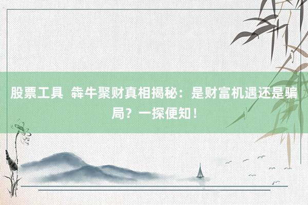 股票工具  犇牛聚财真相揭秘：是财富机遇还是骗局？一探便知！