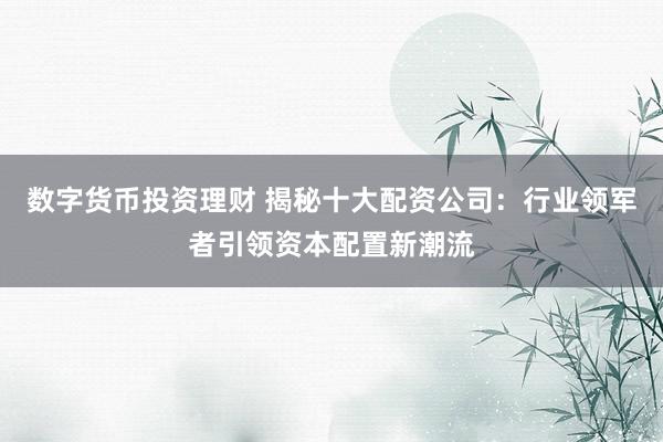 数字货币投资理财 揭秘十大配资公司：行业领军者引领资本配置新潮流
