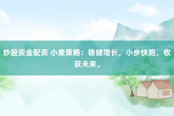 炒股资金配资 小麦策略：稳健增长，小步快跑，收获未来。