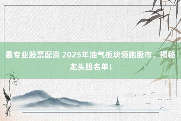 最专业股票配资 2025年油气板块领跑股市,揭秘龙头股名单!
