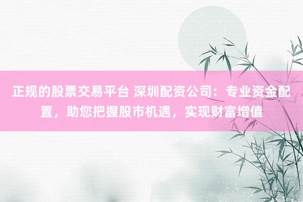 正规的股票交易平台 深圳配资公司：专业资金配置，助您把握股市机遇，实现财富增值